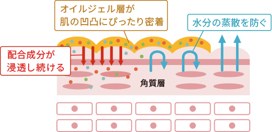 オイルジェル層が肌の凹凸にぴったり密着。肌の水分蒸散を防。配合成分が浸透し続ける。